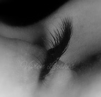 /album/fenykepgaleria/dscf1191-wm-wm-jpg/